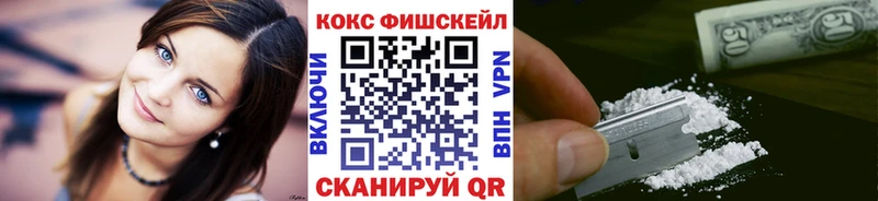КОКАИН Fish Scale  Купить  Зея 