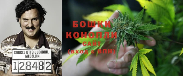 молекула духа Ельня