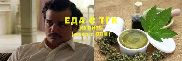 spice Дмитриев