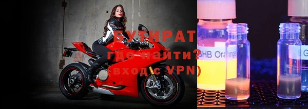 шишки Дмитровск