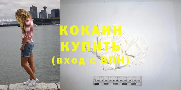 шишки Дмитровск