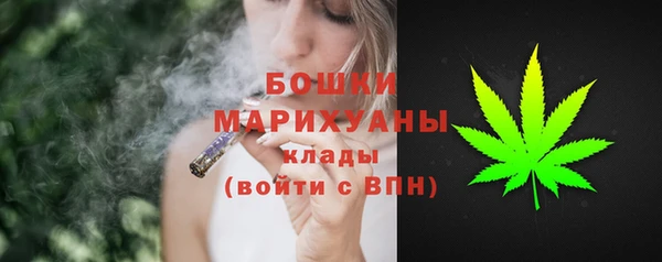 шишки Дмитровск