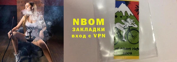 шишки Дмитровск