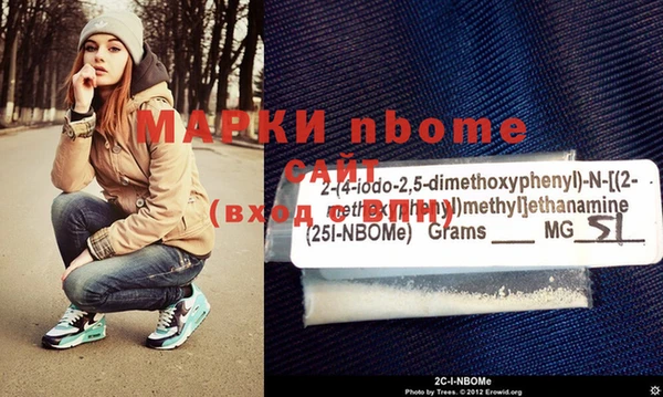 spice Дмитриев