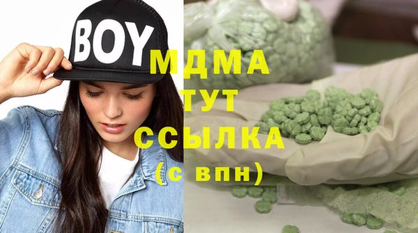 молекула духа Ельня