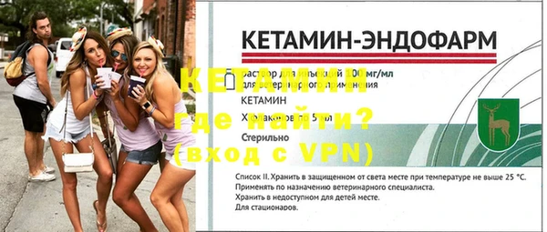шишки Дмитровск