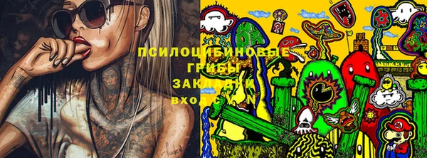 молекула духа Ельня