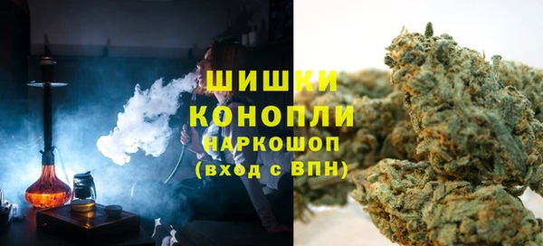 шишки Дмитровск