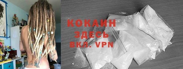 шишки Дмитровск