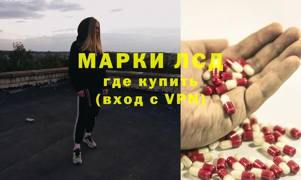 spice Дмитриев