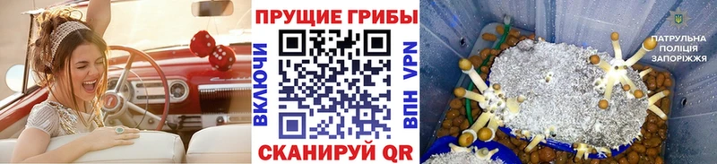 Галлюциногенные грибы Cubensis  Купить  Зея 