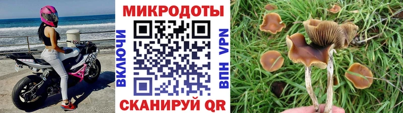 Галлюциногенные грибы ЛСД Зея
